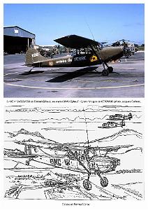 610 CESSNA L-19 BIRD DOG EN SERVICE DANS L ALAT_000032_000018